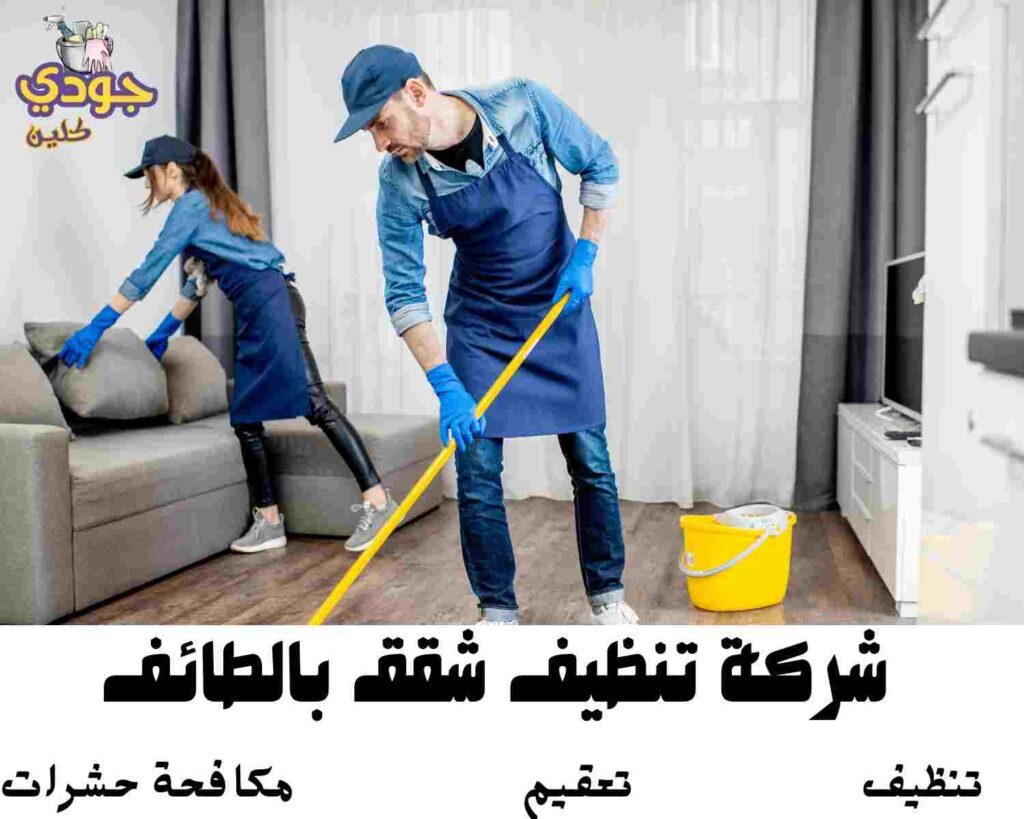 شركة تنظيف شقق بالطائف