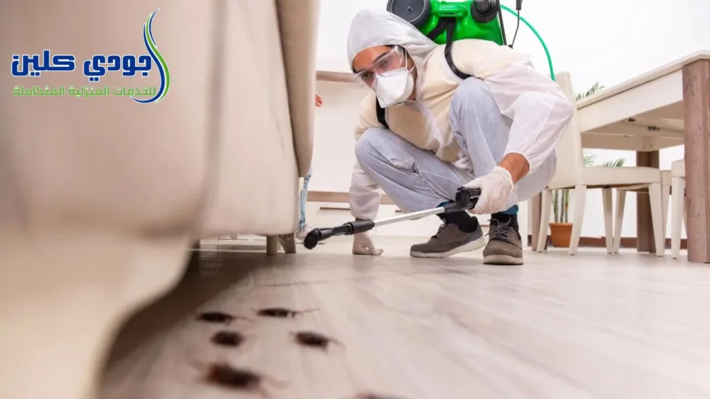 شركة مكافحة حشرات بمكة