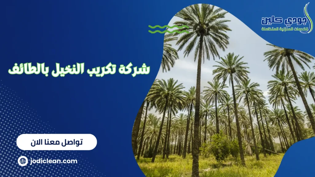 شركة تكريب النخيل بالطائف