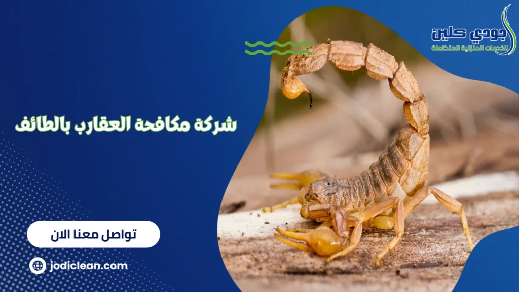 شركة مكافحة العقارب بالطائف